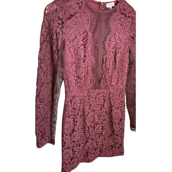 Tobi Raven Lace Bodycon Mini Dress Wine Red | Size Small - Picture 5 of 7